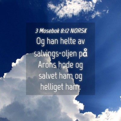 Picture 04 - 3 Mosebok 8:12 NORSK - Og han helte av salvings-oljen på Arons hode og - Bible Verse Picture