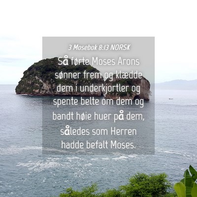 Picture 04 - 3 Mosebok 8:13 NORSK - Så førte Moses Arons sønner frem og klædde - Bible Verse Picture