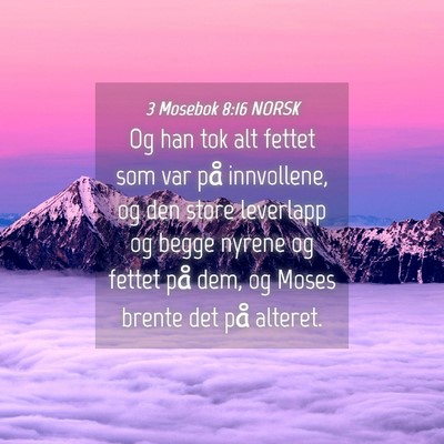 Picture 04 - 3 Mosebok 8:16 NORSK - Og han tok alt fettet som var på innvollene, og - Bible Verse Picture