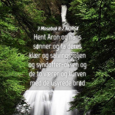 Picture 04 - 3 Mosebok 8:2 NORSK - Hent Aron og hans sønner og ta deres klær og - Bible Verse Picture
