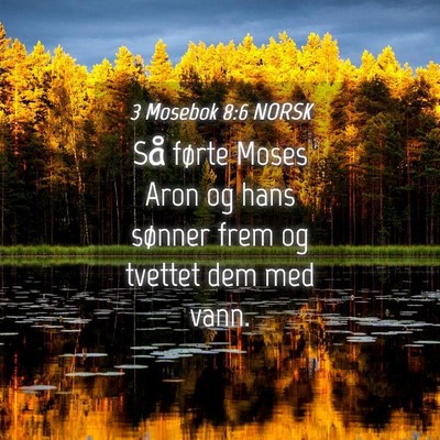 Picture 04 - 3 Mosebok 8:6 NORSK - Så førte Moses Aron og hans sønner frem og - Bible Verse Picture