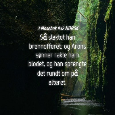 Picture 04 - 3 Mosebok 9:12 NORSK - Så slaktet han brennofferet; og Arons sønner - Bible Verse Picture