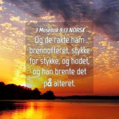 Picture 04 - 3 Mosebok 9:13 NORSK - Og de rakte ham brennofferet, stykke for stykke, - Bible Verse Picture