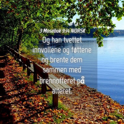 Picture 04 - 3 Mosebok 9:14 NORSK - Og han tvettet innvollene og føttene og brente - Bible Verse Picture