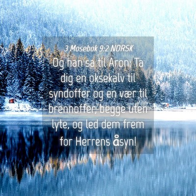 Picture 04 - 3 Mosebok 9:2 NORSK - Og han sa til Aron: Ta dig en oksekalv til - Bible Verse Picture