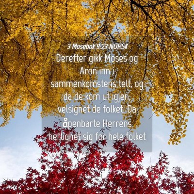 Picture 04 - 3 Mosebok 9:23 NORSK - Derefter gikk Moses og Aron inn i sammenkomstens - Bible Verse Picture