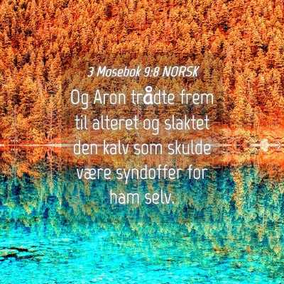 Picture 04 - 3 Mosebok 9:8 NORSK - Og Aron trådte frem til alteret og slaktet den - Bible Verse Picture