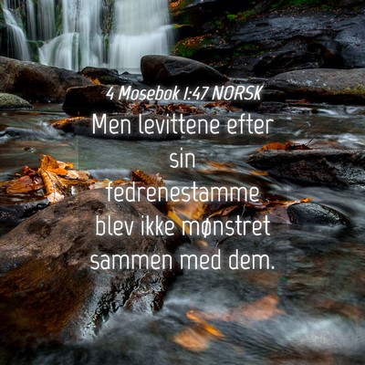 Picture 04 - 4 Mosebok 1:47 NORSK - Men levittene efter sin fedrenestamme blev ikke - Bible Verse Picture
