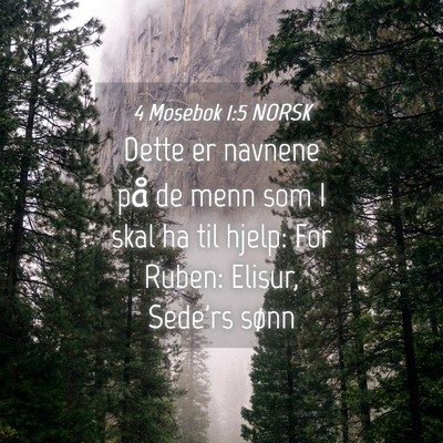 Picture 04 - 4 Mosebok 1:5 NORSK - Dette er navnene på de menn som I skal ha til - Bible Verse Picture