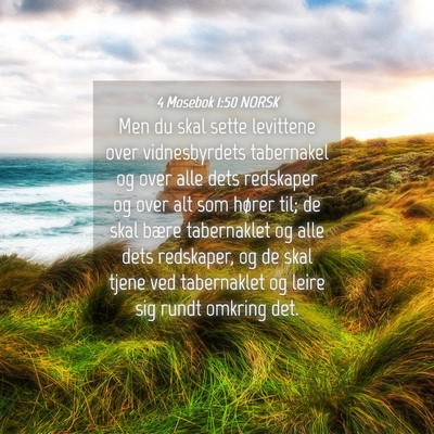 Picture 04 - 4 Mosebok 1:50 NORSK - Men du skal sette levittene over vidnesbyrdets - Bible Verse Picture