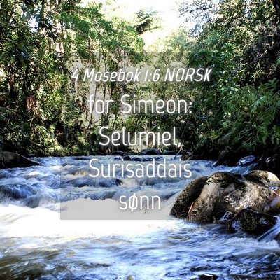 Picture 04 - 4 Mosebok 1:6 NORSK - for Simeon: Selumiel, Surisaddais - Bible Verse Picture