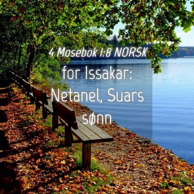 Picture 04 - 4 Mosebok 1:8 NORSK - for Issakar: Netanel, Suars - Bible Verse Picture