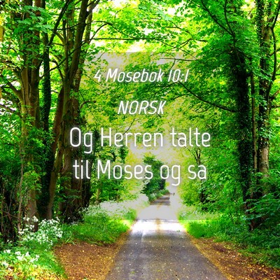 Picture 04 - 4 Mosebok 10:1 NORSK - Og Herren talte til Moses og - Bible Verse Picture