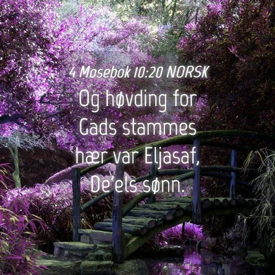 Picture 04 - 4 Mosebok 10:20 NORSK - Og høvding for Gads stammes hær var Eljasaf, - Bible Verse Picture