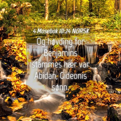 Picture 04 - 4 Mosebok 10:24 NORSK - Og høvding for Benjamins stammes hær var - Bible Verse Picture