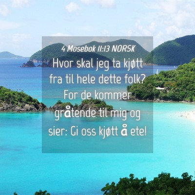 Picture 04 - 4 Mosebok 11:13 NORSK - Hvor skal jeg ta kjøtt fra til hele dette folk? - Bible Verse Picture