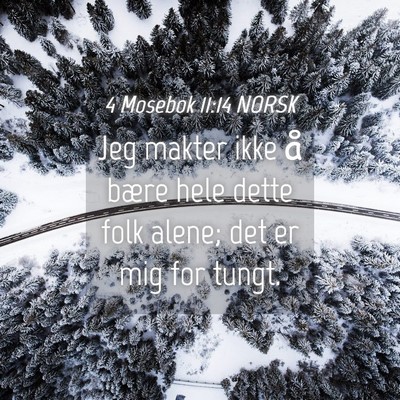Picture 04 - 4 Mosebok 11:14 NORSK - Jeg makter ikke å bære hele dette folk alene; - Bible Verse Picture