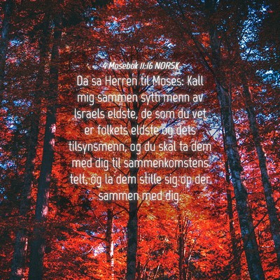Picture 04 - 4 Mosebok 11:16 NORSK - Da sa Herren til Moses: Kall mig sammen sytti - Bible Verse Picture