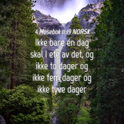 Picture 04 - 4 Mosebok 11:19 NORSK - Ikke bare én dag skal I ete av det, og ikke to - Bible Verse Picture