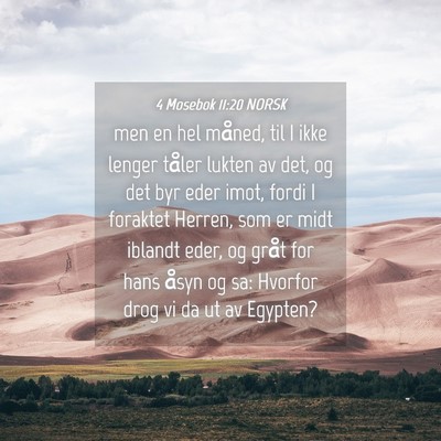 Picture 04 - 4 Mosebok 11:20 NORSK - men en hel måned, til I ikke lenger tåler - Bible Verse Picture