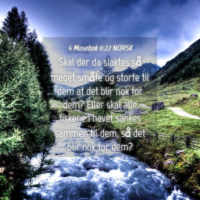 Picture 04 - 4 Mosebok 11:22 NORSK - Skal der da slaktes så meget småfe og storfe - Bible Verse Picture