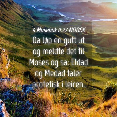 Picture 04 - 4 Mosebok 11:27 NORSK - Da løp en gutt ut og meldte det til Moses og sa: - Bible Verse Picture
