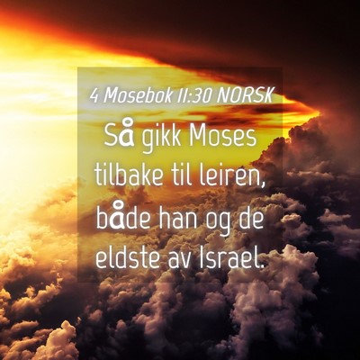 Picture 04 - 4 Mosebok 11:30 NORSK - Så gikk Moses tilbake til leiren, både han og - Bible Verse Picture