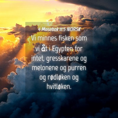Picture 04 - 4 Mosebok 11:5 NORSK - Vi minnes fisken som vi åt i Egypten for intet, - Bible Verse Picture