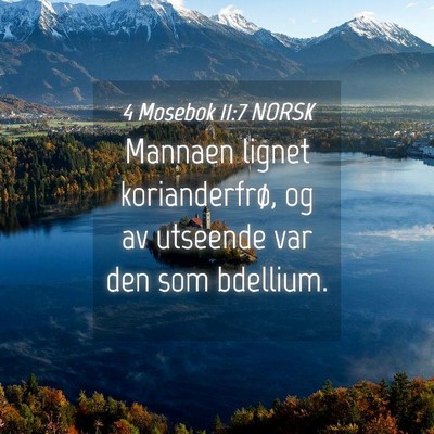 Picture 04 - 4 Mosebok 11:7 NORSK - Mannaen lignet korianderfrø, og av utseende var - Bible Verse Picture