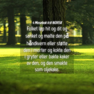 Picture 04 - 4 Mosebok 11:8 NORSK - Folket løp hit og dit og sanket og malte den på - Bible Verse Picture
