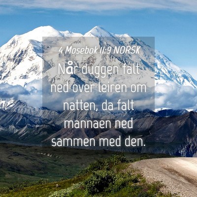 Picture 04 - 4 Mosebok 11:9 NORSK - Når duggen falt ned over leiren om natten, da - Bible Verse Picture