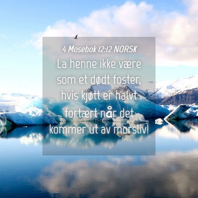 Picture 04 - 4 Mosebok 12:12 NORSK - La henne ikke være som et dødt foster, hvis - Bible Verse Picture