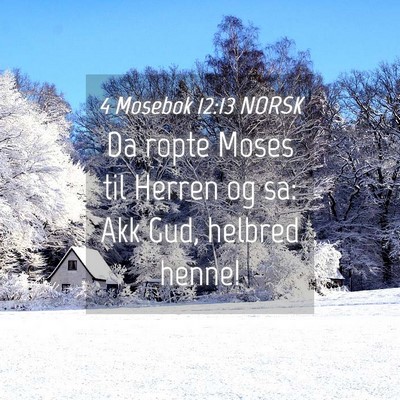 Picture 04 - 4 Mosebok 12:13 NORSK - Da ropte Moses til Herren og sa: Akk Gud, helbred - Bible Verse Picture