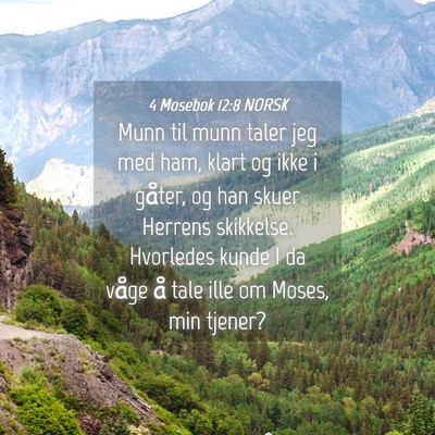 Picture 04 - 4 Mosebok 12:8 NORSK - Munn til munn taler jeg med ham, klart og ikke i - Bible Verse Picture