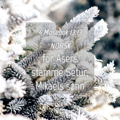 Picture 04 - 4 Mosebok 13:13 NORSK - for Asers stamme Setur, Mikaels - Bible Verse Picture