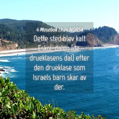 Picture 04 - 4 Mosebok 13:24 NORSK - Dette sted blev kalt Eskol-dalen {de. drueklasens - Bible Verse Picture