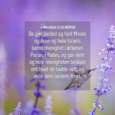 Picture 04 - 4 Mosebok 13:26 NORSK - De gikk avsted og fant Moses og Aron og hele - Bible Verse Picture
