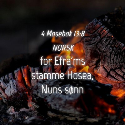 Picture 04 - 4 Mosebok 13:8 NORSK - for Efra'ms stamme Hosea, Nuns - Bible Verse Picture