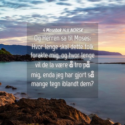 Picture 04 - 4 Mosebok 14:11 NORSK - Og Herren sa til Moses: Hvor lenge skal dette - Bible Verse Picture
