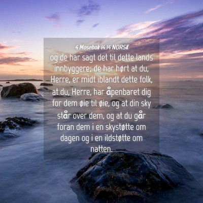 Picture 04 - 4 Mosebok 14:14 NORSK - og de har sagt det til dette lands innbyggere; de - Bible Verse Picture