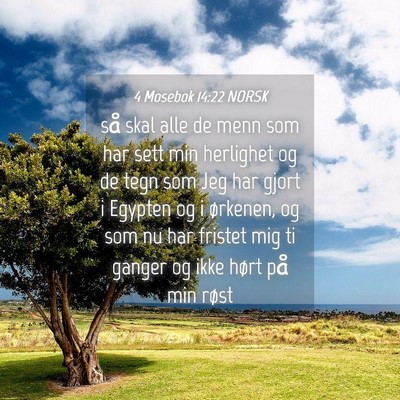 Picture 04 - 4 Mosebok 14:22 NORSK - så skal alle de menn som har sett min herlighet - Bible Verse Picture
