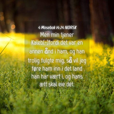 Picture 04 - 4 Mosebok 14:24 NORSK - Men min tjener Kaleb(-)fordi det var en annen - Bible Verse Picture