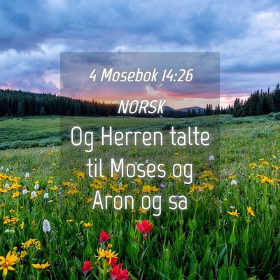 Picture 04 - 4 Mosebok 14:26 NORSK - Og Herren talte til Moses og Aron og - Bible Verse Picture