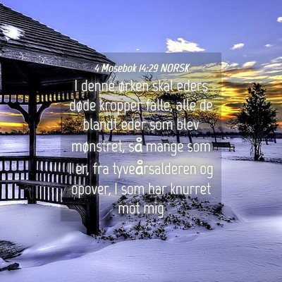 Picture 04 - 4 Mosebok 14:29 NORSK - I denne ørken skal eders døde kropper falle, - Bible Verse Picture