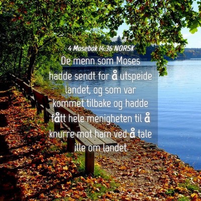 Picture 04 - 4 Mosebok 14:36 NORSK - De menn som Moses hadde sendt for å utspeide - Bible Verse Picture