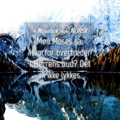 Picture 04 - 4 Mosebok 14:41 NORSK - Men Moses sa: Hvorfor overtreder I Herrens bud? - Bible Verse Picture
