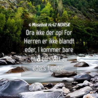 Picture 04 - 4 Mosebok 14:42 NORSK - Dra ikke der op! For Herren er ikke blandt eder, - Bible Verse Picture
