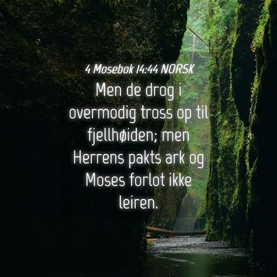 Picture 04 - 4 Mosebok 14:44 NORSK - Men de drog i overmodig tross op til - Bible Verse Picture