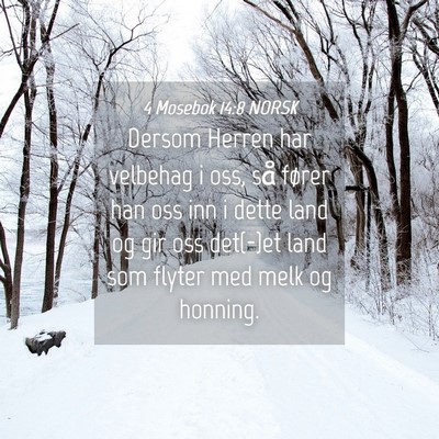 Picture 04 - 4 Mosebok 14:8 NORSK - Dersom Herren har velbehag i oss, så fører han - Bible Verse Picture