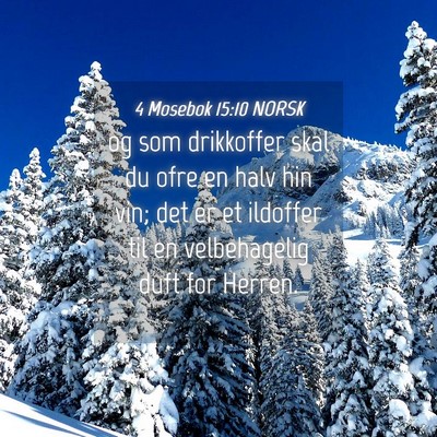 Picture 04 - 4 Mosebok 15:10 NORSK - og som drikkoffer skal du ofre en halv hin vin; - Bible Verse Picture